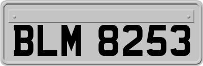 BLM8253