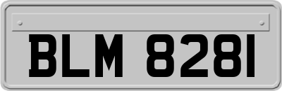 BLM8281