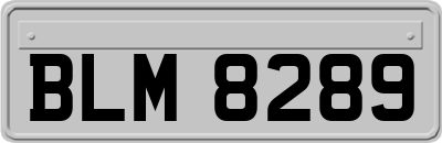 BLM8289