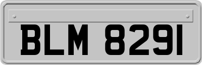 BLM8291