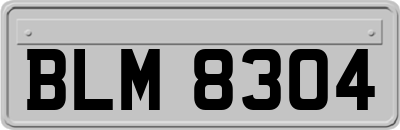 BLM8304