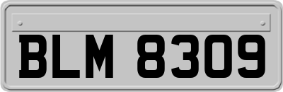 BLM8309