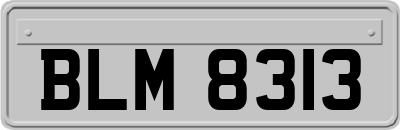 BLM8313