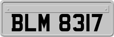 BLM8317