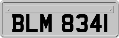 BLM8341
