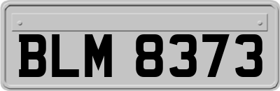 BLM8373