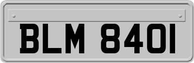 BLM8401