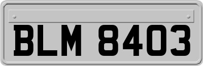 BLM8403