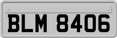 BLM8406