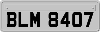 BLM8407