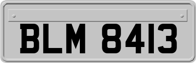 BLM8413