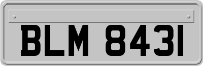 BLM8431