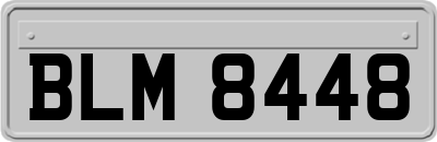 BLM8448