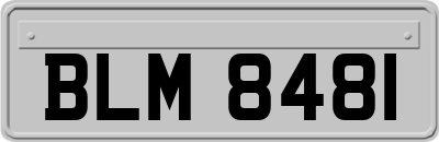 BLM8481