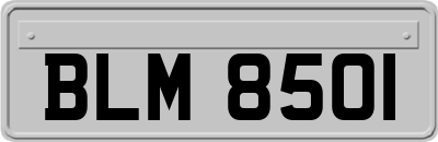 BLM8501