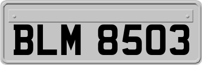BLM8503