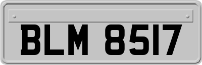 BLM8517