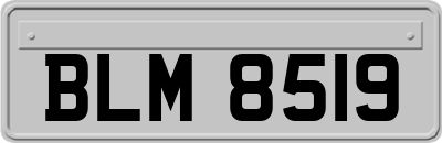BLM8519