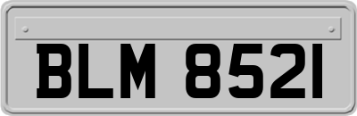 BLM8521