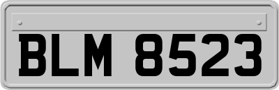 BLM8523
