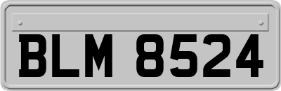 BLM8524