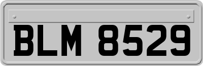 BLM8529