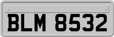 BLM8532