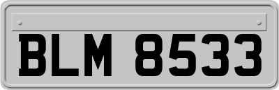 BLM8533