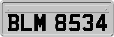 BLM8534