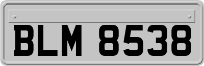 BLM8538