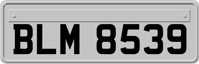 BLM8539