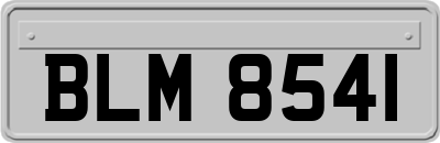 BLM8541