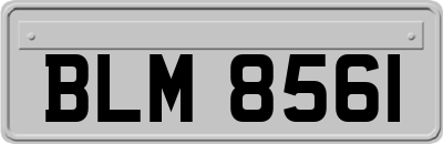 BLM8561
