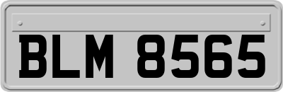 BLM8565