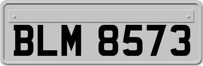 BLM8573