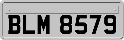 BLM8579