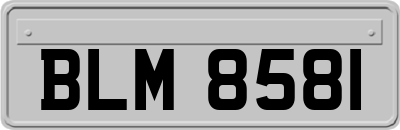 BLM8581