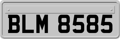 BLM8585