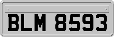 BLM8593