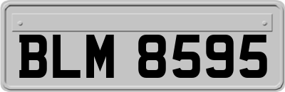 BLM8595