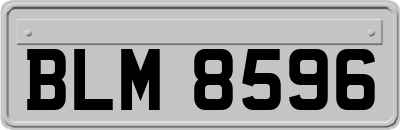 BLM8596