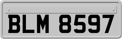 BLM8597