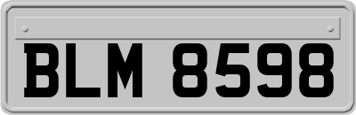 BLM8598