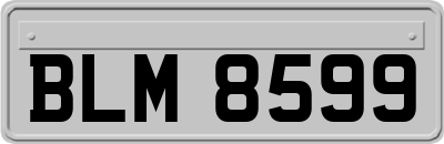 BLM8599