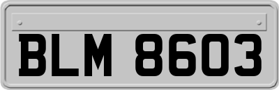 BLM8603