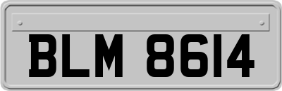 BLM8614