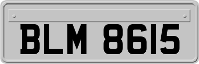 BLM8615