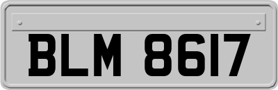 BLM8617