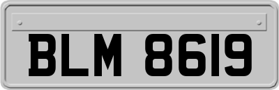 BLM8619