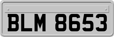 BLM8653